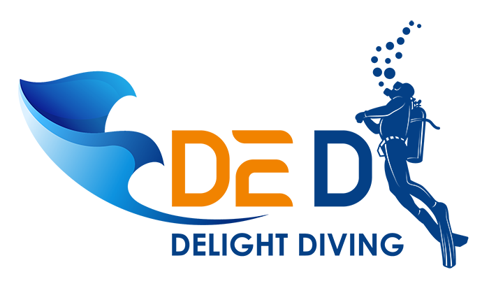 Delight Diving